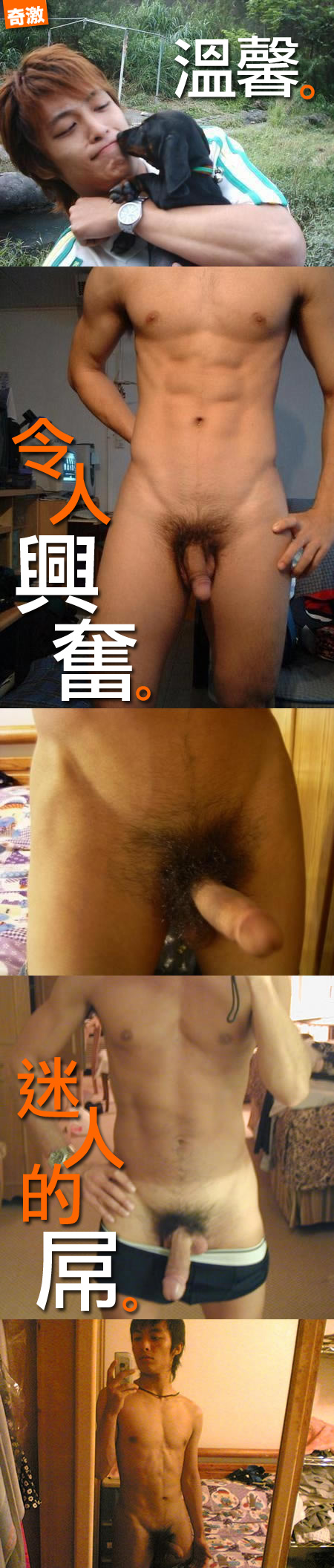 可愛的小狗主人