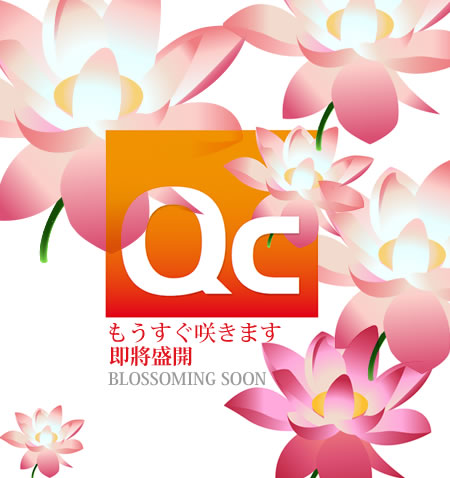 即將綻放的蓮花----奇激亞洲站