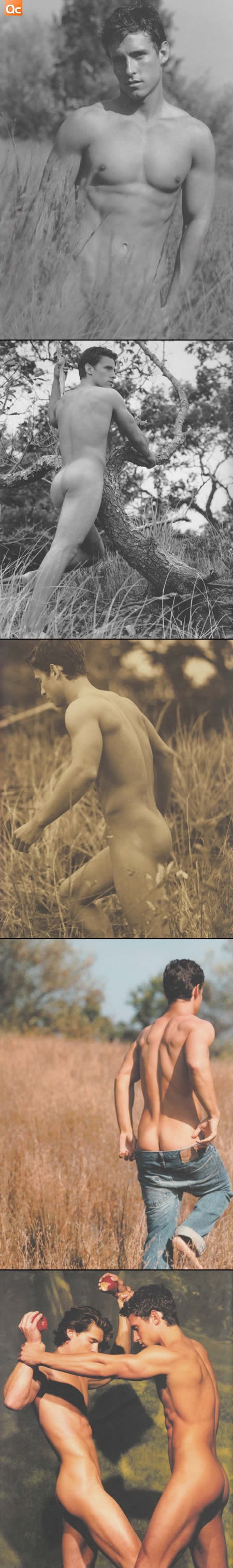 Beauty Tyler Lough