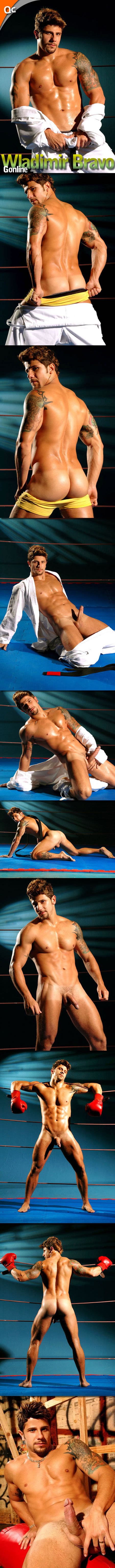 Wladimir Bravo en GOnline.com.br