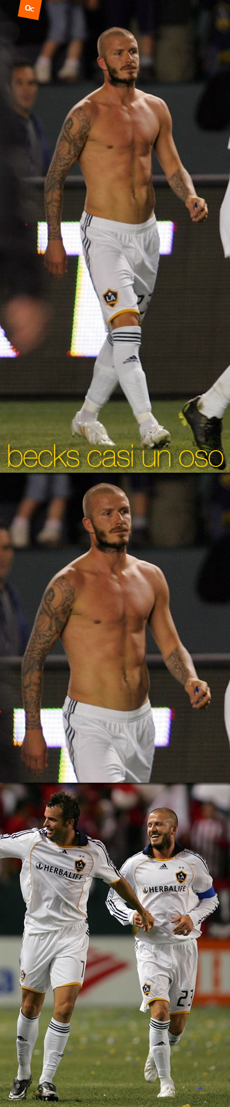 Becks es Casi un Oso