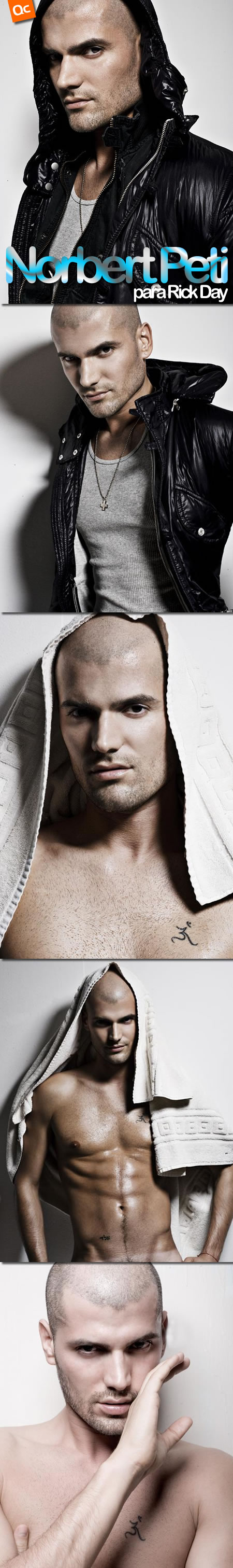 Norbert Peti para Rick Day