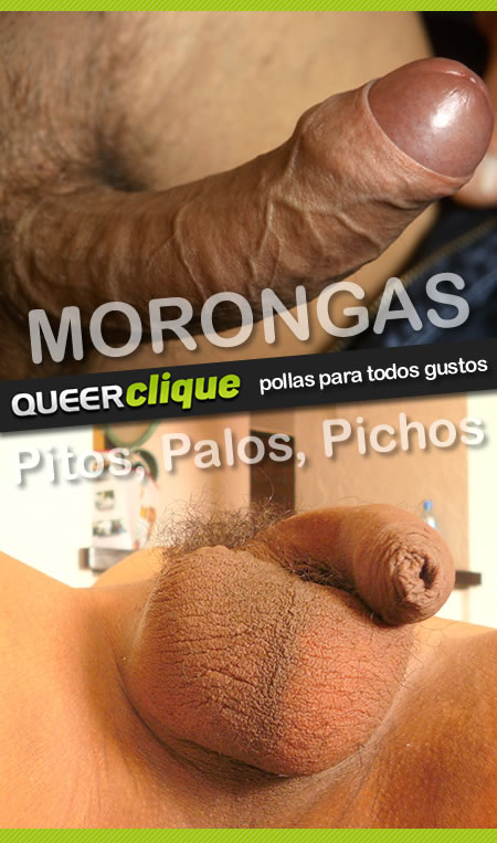 QueerClique - Pollas para Todos Gustos