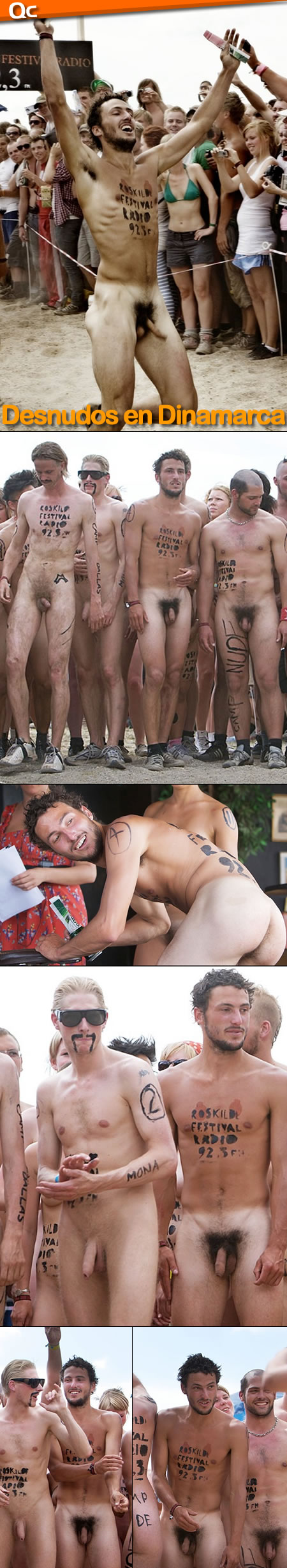 El Festival de la Música de Roskilde