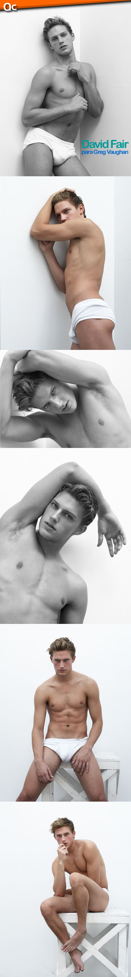 Greg Vaughan: David Fair
