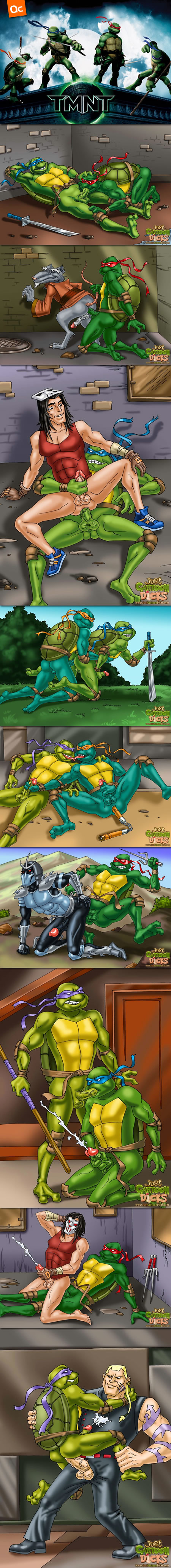 The Teenage Mutant Ninja Turtles Have Grown Up!