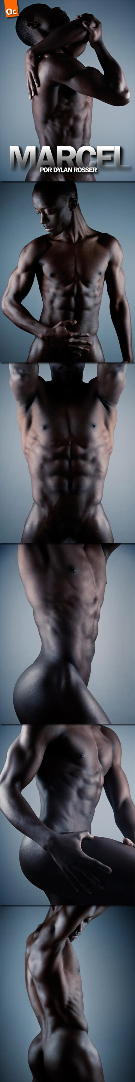 Dylan Rosser: Marcel