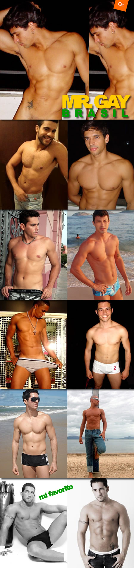 Mr. Gay Brasil