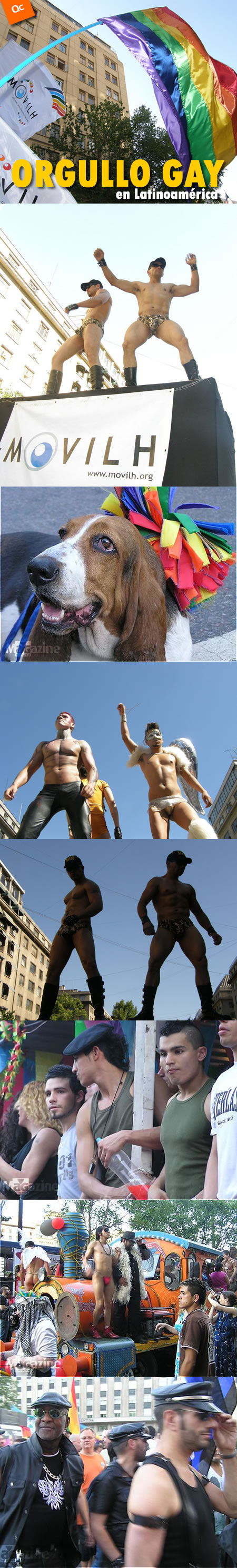 El Orgullo Gay en Latinoamérica