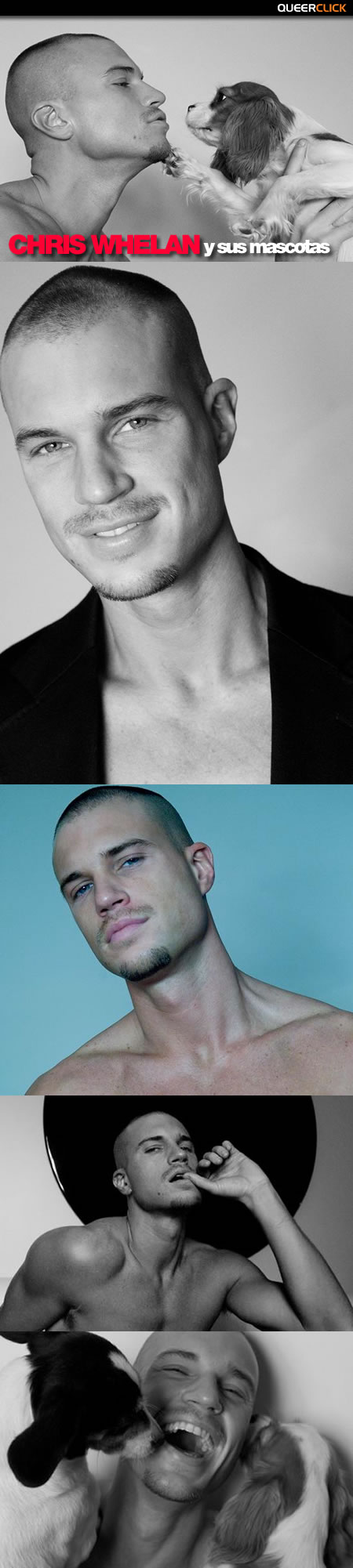 Chris Whelan和他的寵物