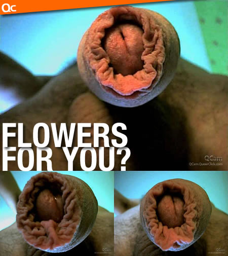 Flowers For You?