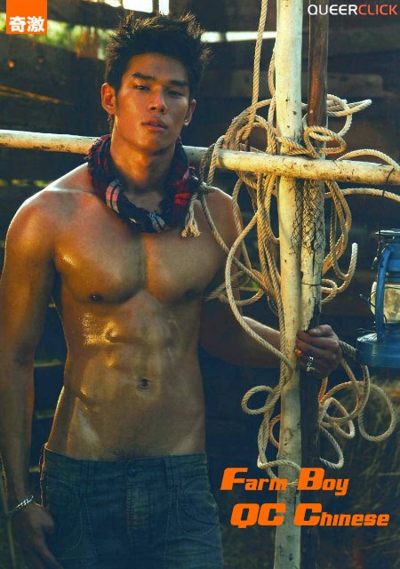 Farm Boy at QC Chinese