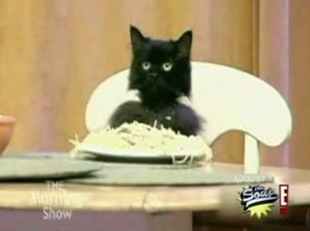 Eat it up, poosey!