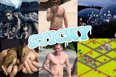 Sticky: Animals And Oddities
