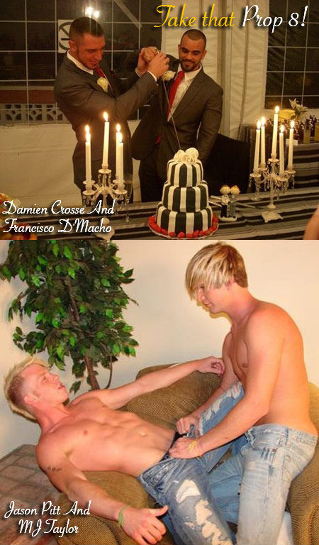Take That Prop 8! Slutty Porn Stars Wed