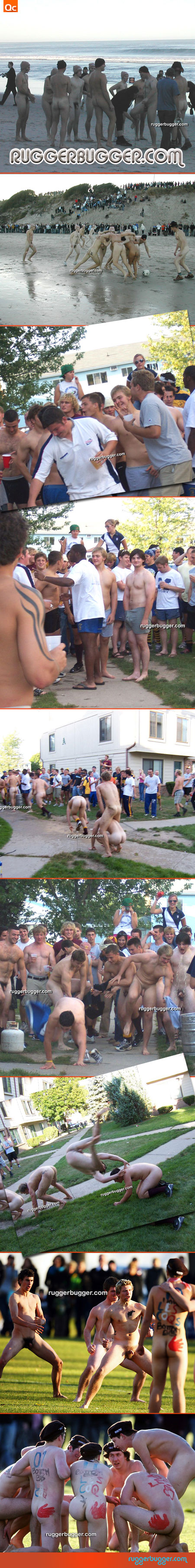 rugger bugger dunedin rugby
