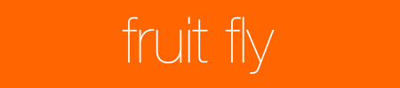 Queerism - Fruit Fly