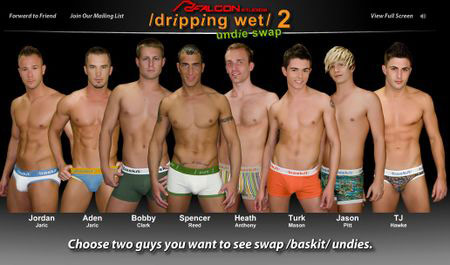 Porn Stars Swap Baskit Underwear Instead Of Blowjobs At Falcon