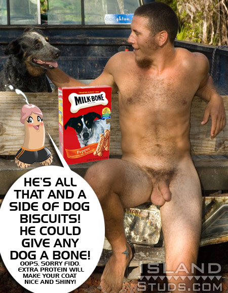 Island Studs: Gus