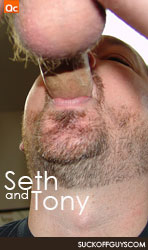 suckoffguys seth tony