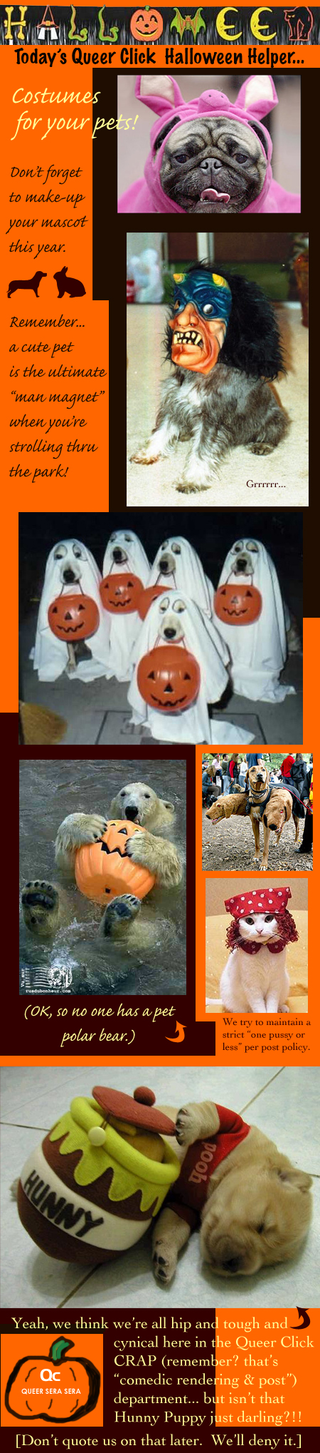 Halloween Pet Costumes