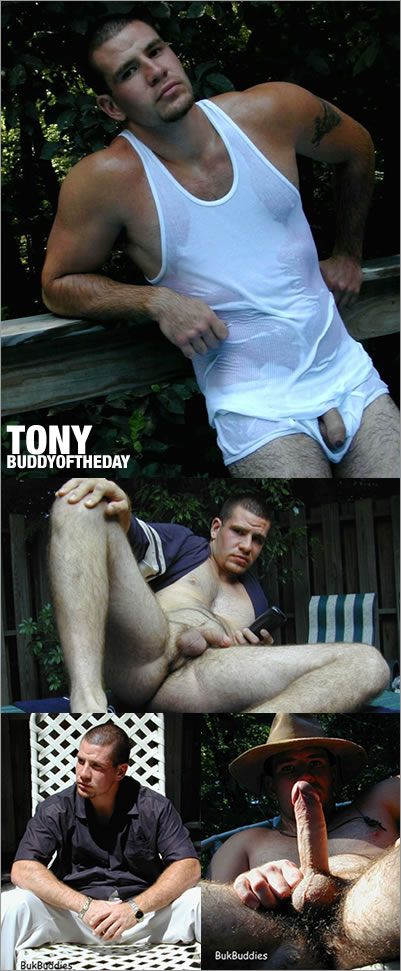 Tony! Tony! Tony!