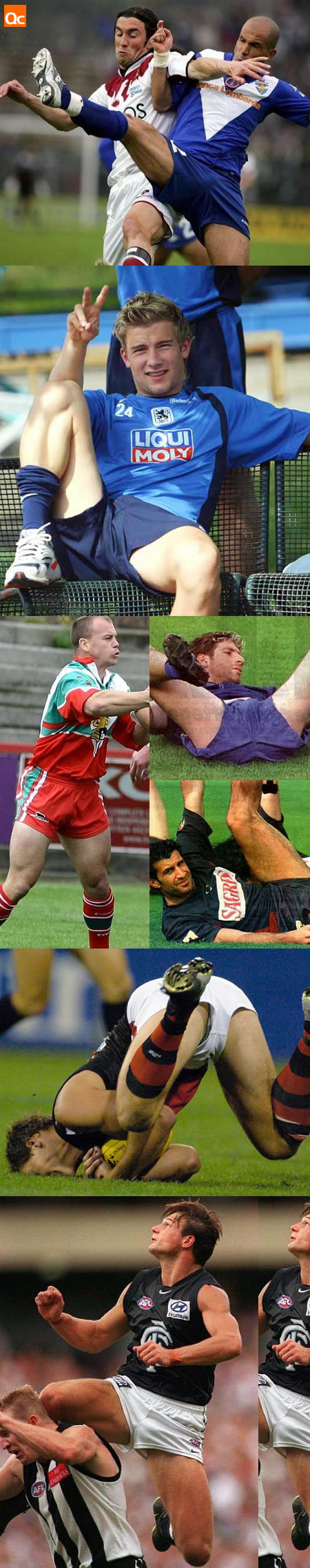 Field Bulges
