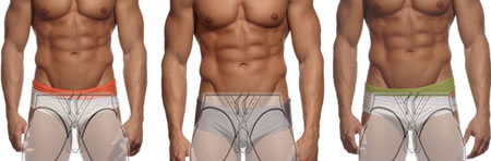 C-In 2 Briefs