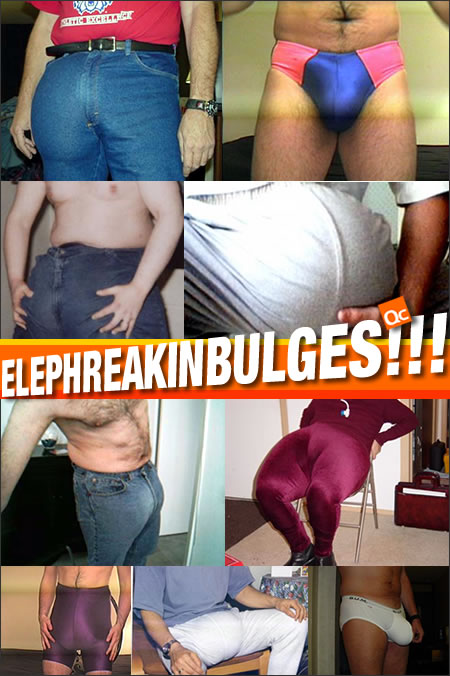 Elephant Bulges!