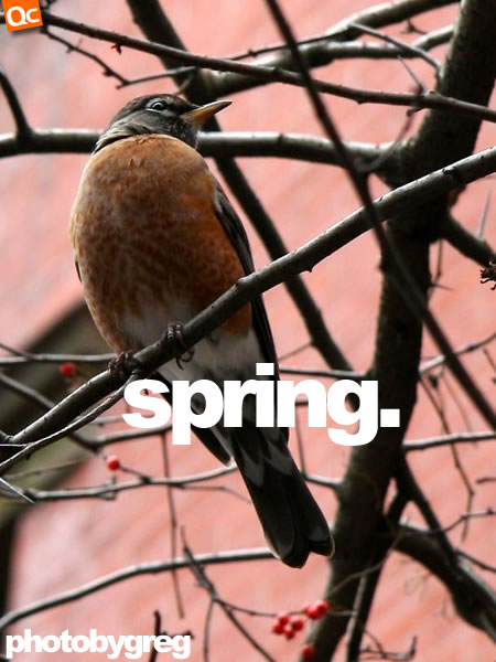 Greg's Spring