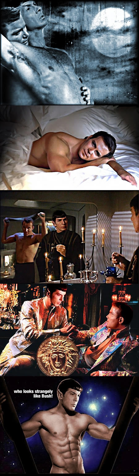 Homo Erotic Star Trek Fan Art
