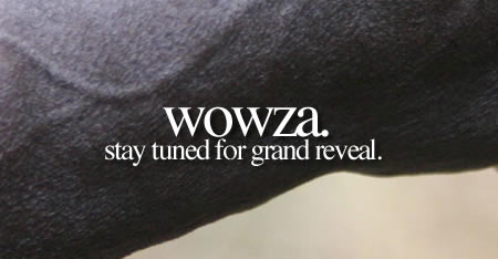 Wowza!