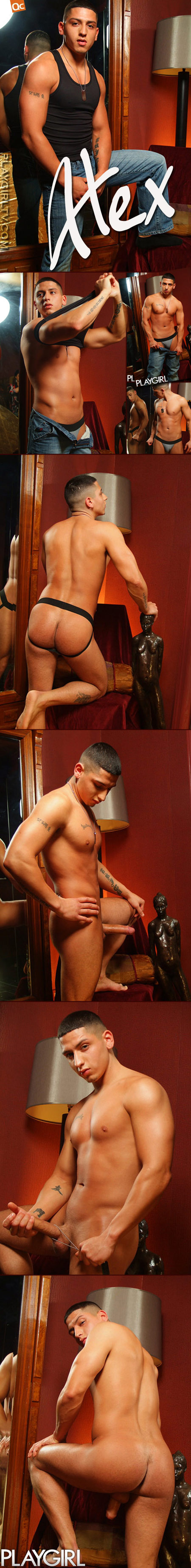 playgirl_alex.jpg