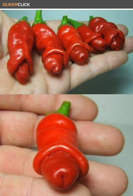 dick_pepper.jpg