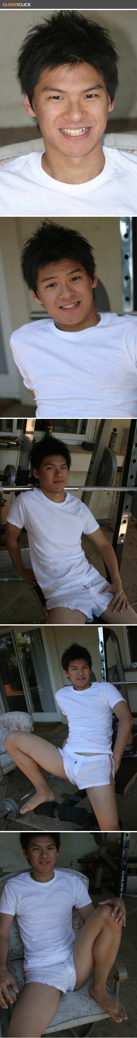 japanese_seiji_1.jpg