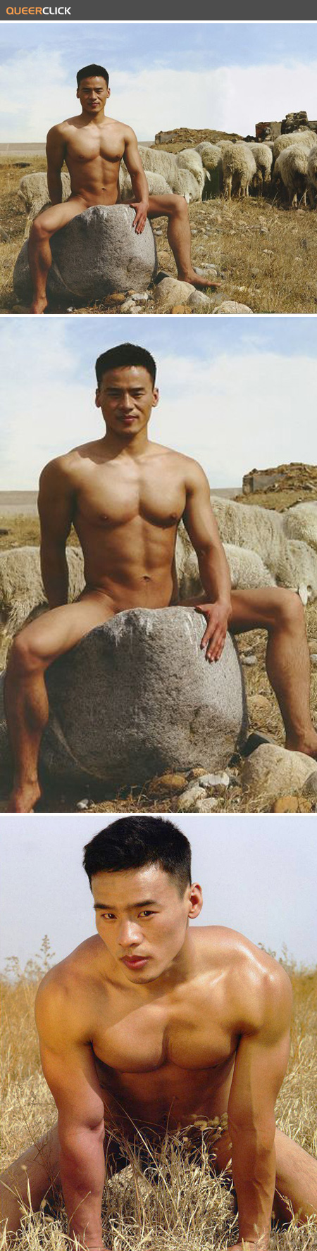 hot_asian_sheep.jpg
