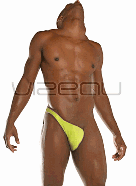 vizeau01.gif