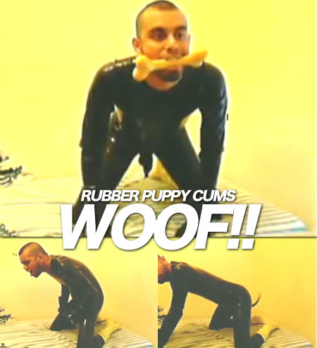 Rubber Puppy Cums