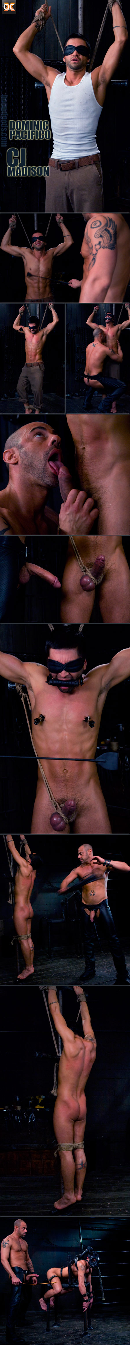 bound gods cj dominic