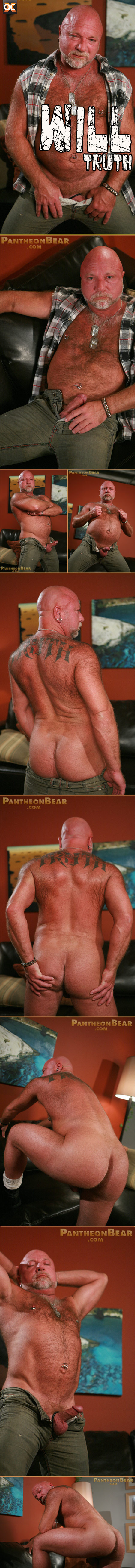 pantheon bear will truth