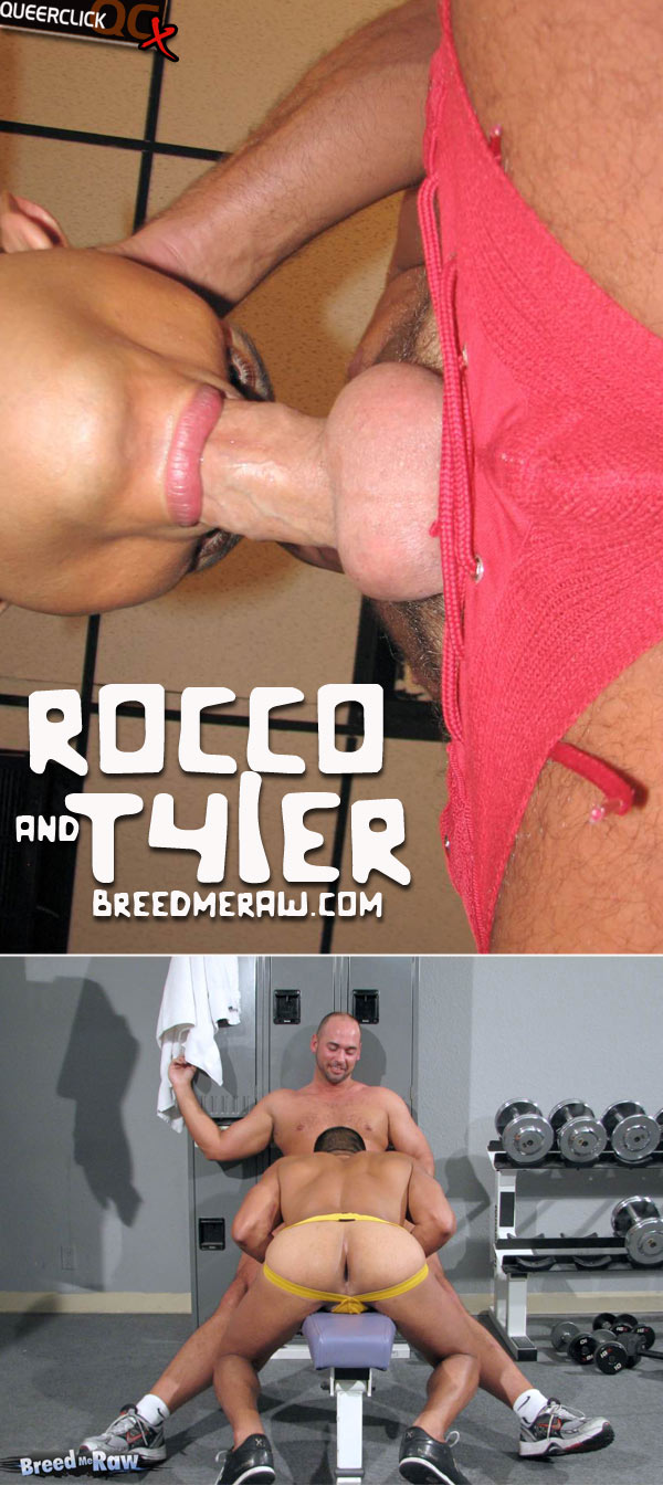 breed me raw tyler rocco