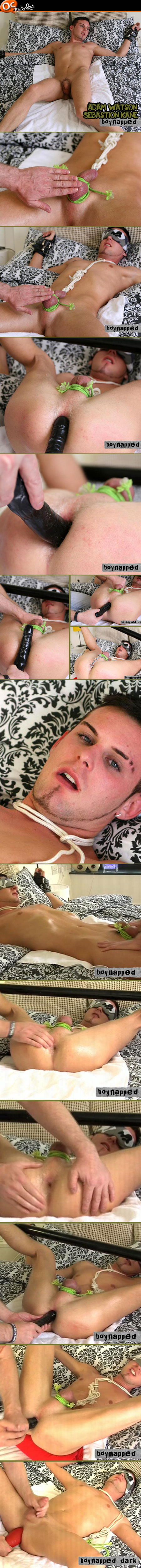 boynapped adam sebastion