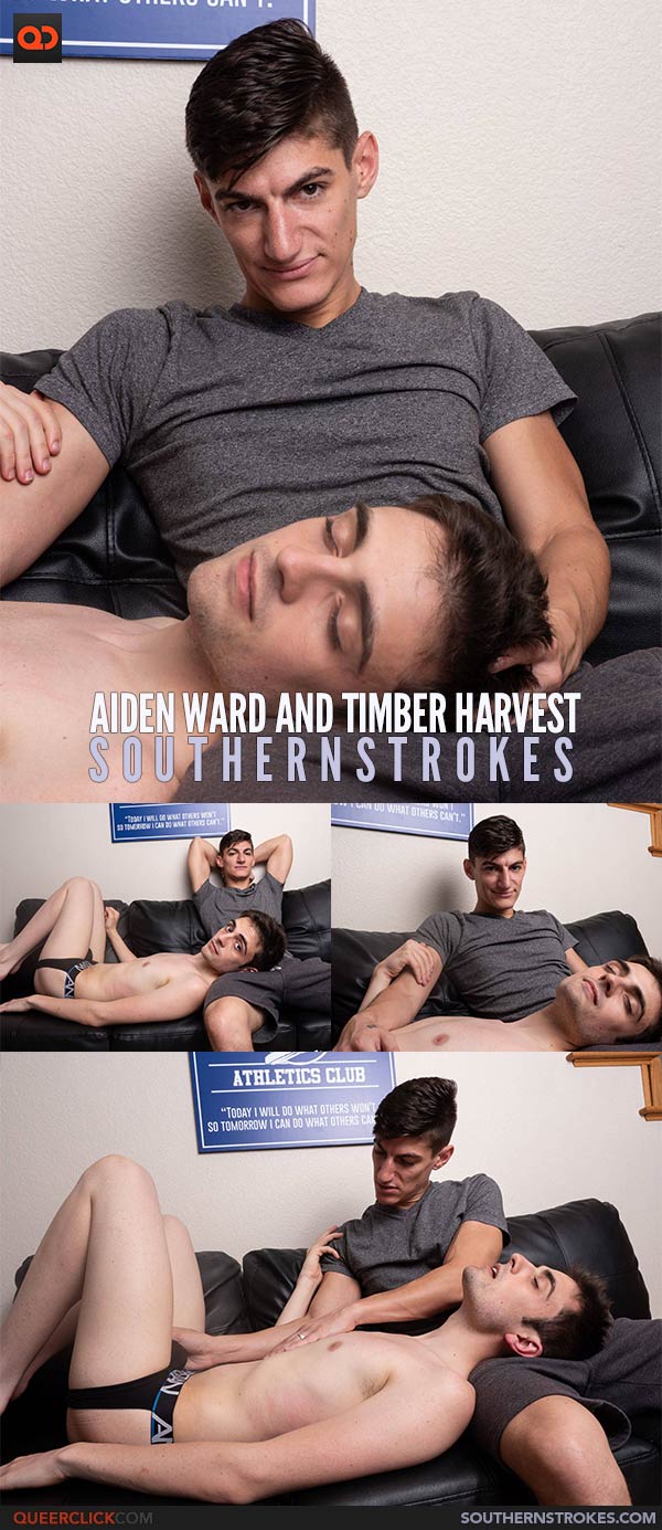 Southern Strokes: Aiden Ward and Timber Harvest