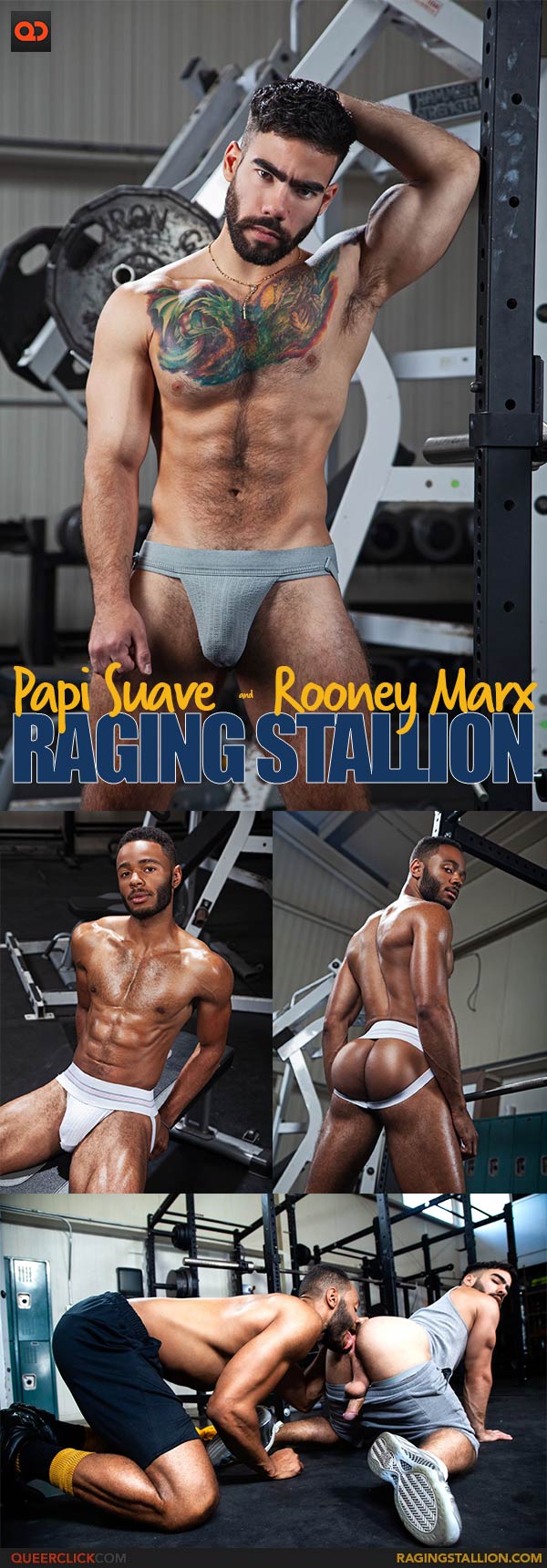 Raging Stallion: Papi Suave and Rooney Marx