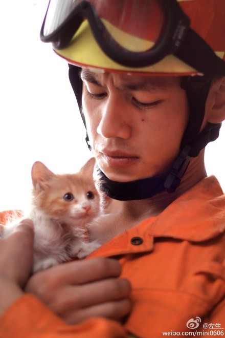 fireman-kitten-01.jpg