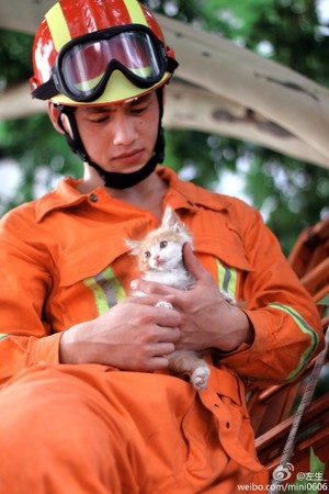 fireman-kitten-04.jpg