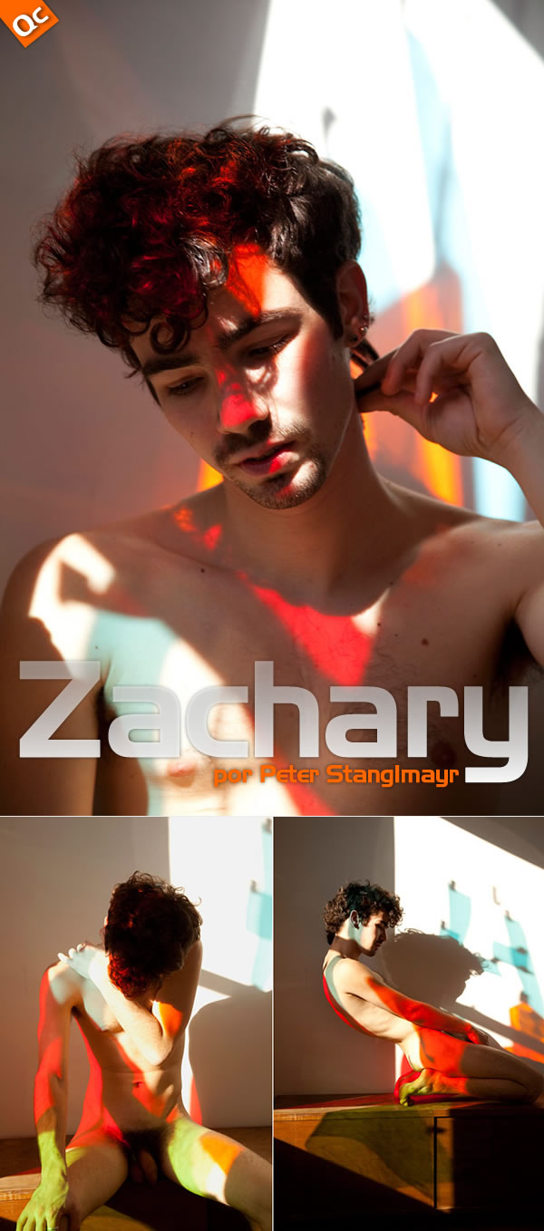 Peter Stanglmayr:  Zachary