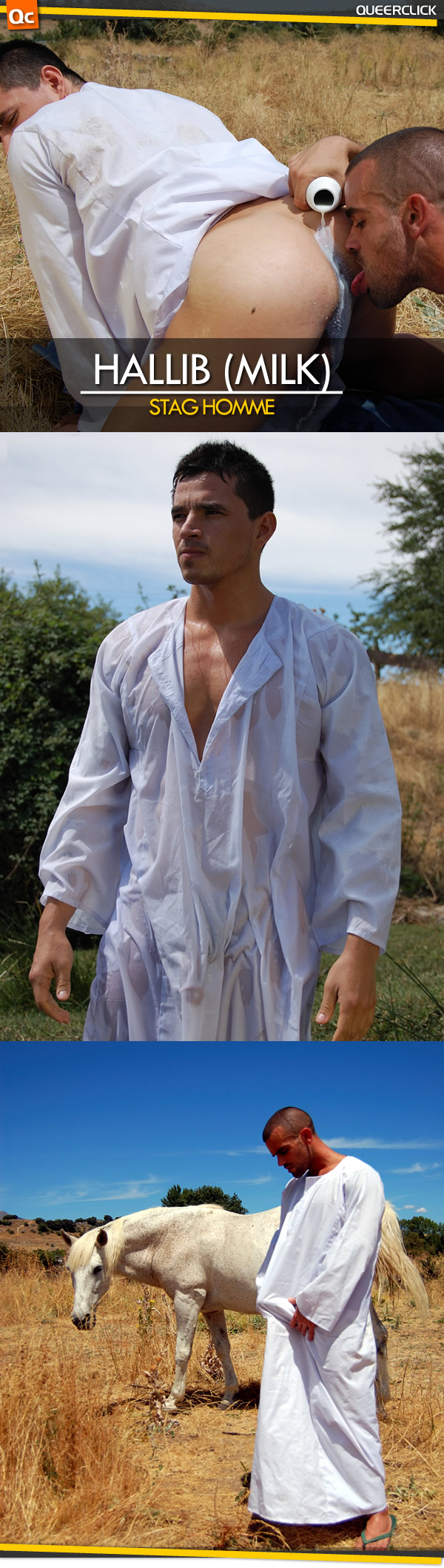 Haleeb (Milk)