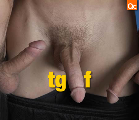 TGIF - This Week's Queerest Clicks!
