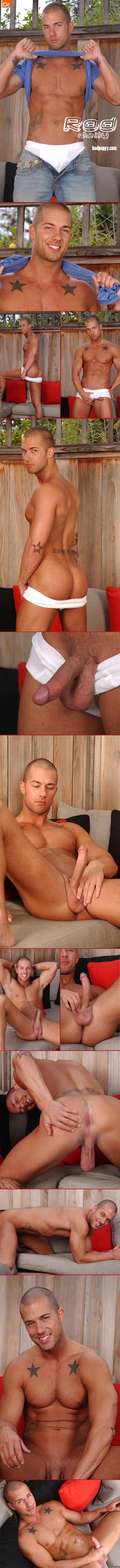 badpuppy rod daily
